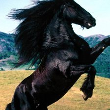 Схема вышивки «животные»