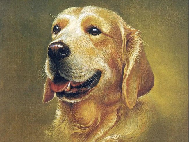 Регинлейв - картина, животные, собаки - оригинал