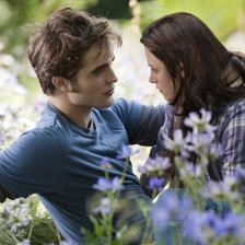 Схема вышивки «сумерки Белла и Эдвард»