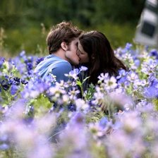 Схема вышивки «поцелуй»