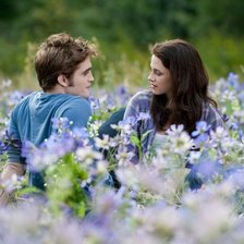 Схема вышивки «пара»