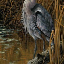 Схема вышивки «№184619»