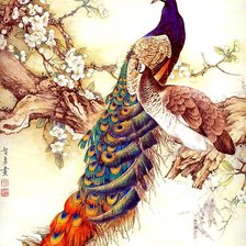 Схема вышивки «Павлин»