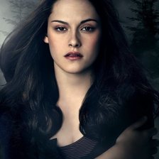 Схема вышивки «Белла»