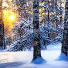 Схема вышивки «№184711»