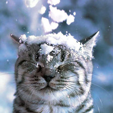 Схема вышивки «№184714»