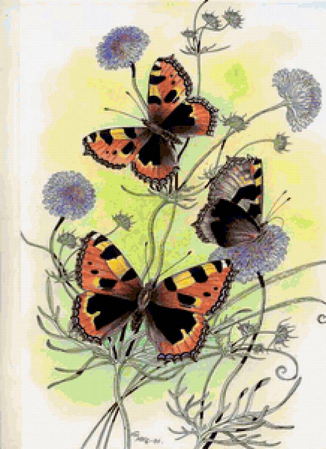 №184726 - предпросмотр