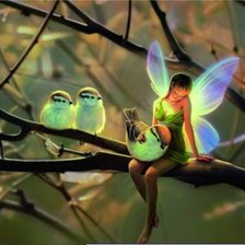 Схема вышивки «птицы и эльф»