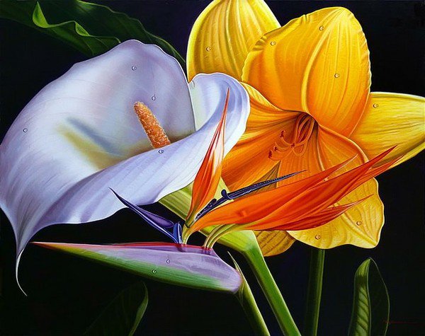 цветы - цветок, растения, картина, натюрморт, экзотика, природа - оригинал