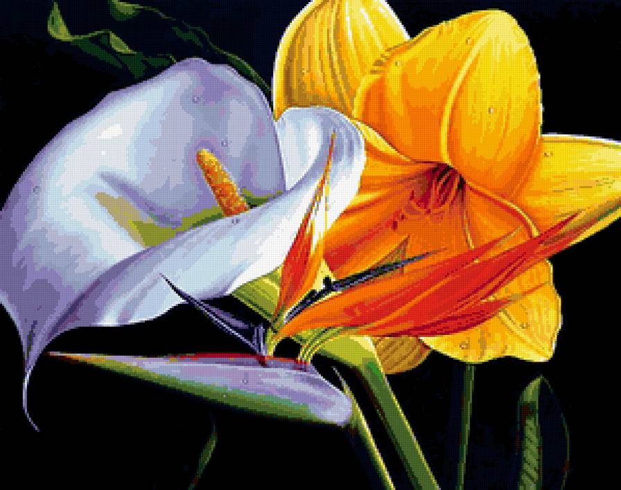 цветы - растения, картина, натюрморт, экзотика, природа, цветок - предпросмотр