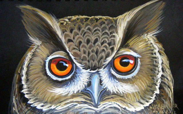 сова - птицы, мудрость, картина, птица, совы, животные, птичка, сова - оригинал