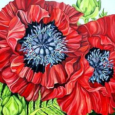 Схема вышивки «Маки»