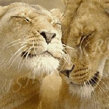 Схема вышивки «10»