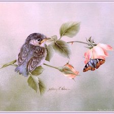 Схема вышивки «№184937»