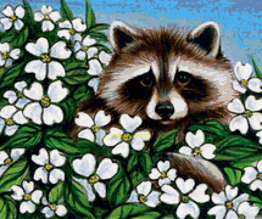 №184946 - предпросмотр