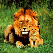 Схема вышивки «отец»