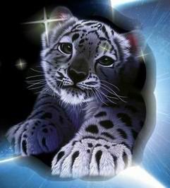 №185016 - оригинал