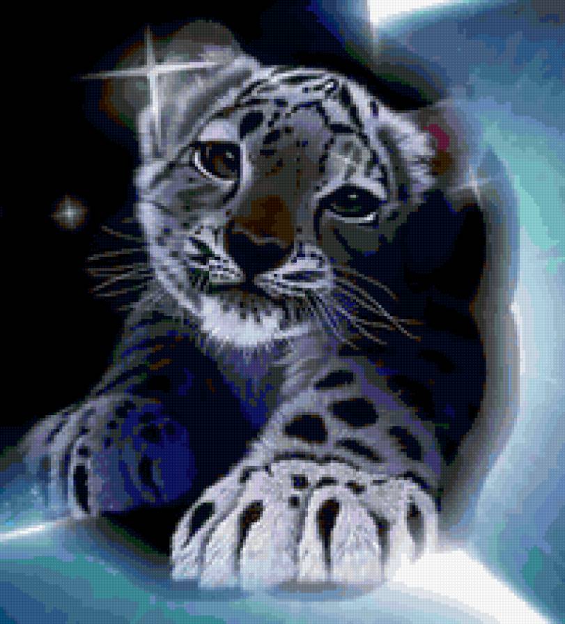 №185016 - предпросмотр