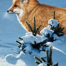 Схема вышивки «№185036»