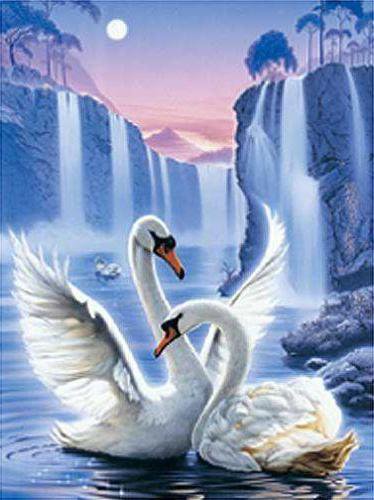 лебеди - оригинал