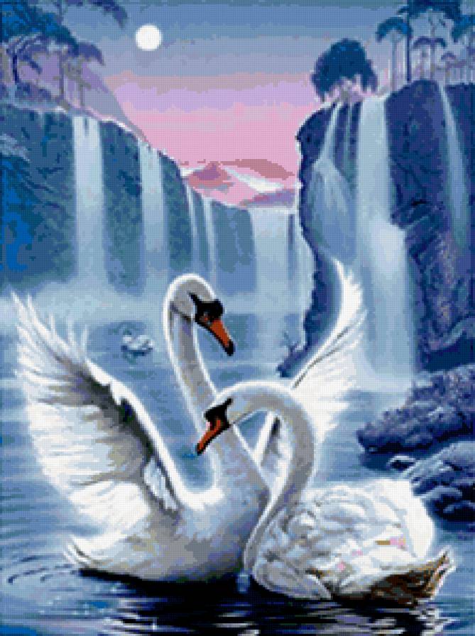 лебеди - предпросмотр