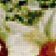 Предпросмотр схемы вышивки «ромашки» (№185046)