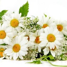 Схема вышивки «ромашки»