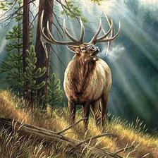 Схема вышивки «№185059»