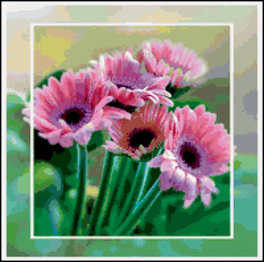 Герберы - цветы - предпросмотр