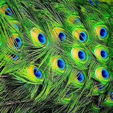 Схема вышивки «№185132»