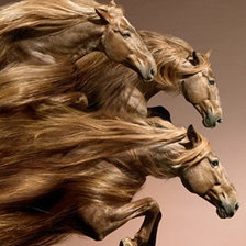 Схема вышивки «№185138»