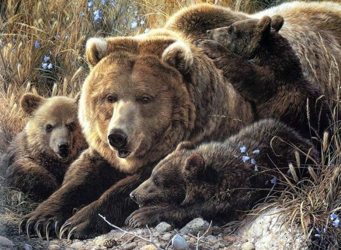 Семья - картина, семья, медведи, живопись, анималисты, малыши - оригинал