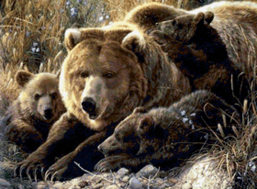 Семья - анималисты, живопись, малыши, картина, семья, медведи - предпросмотр