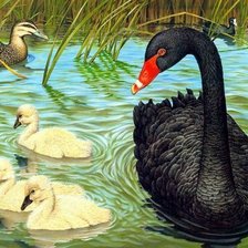 Схема вышивки «Семья»