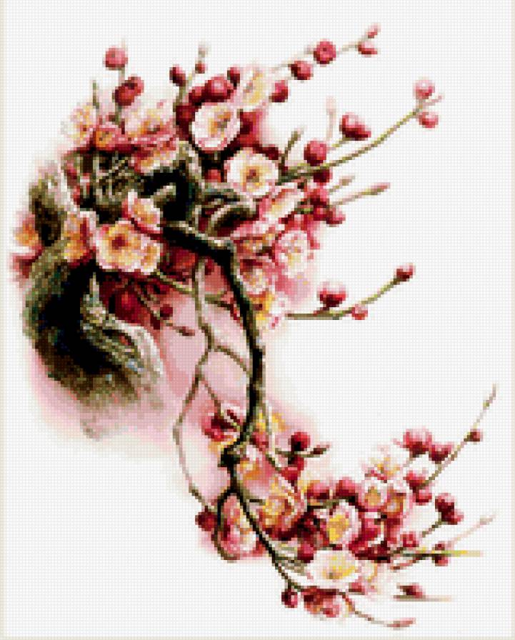 Сакура - цветы, акварель - предпросмотр