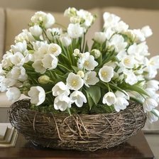 Схема вышивки «№185219»