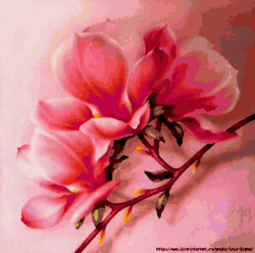 магнолия - цветы, весна, нежность, магнолия - предпросмотр