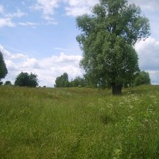 Схема вышивки «дерево из детства»