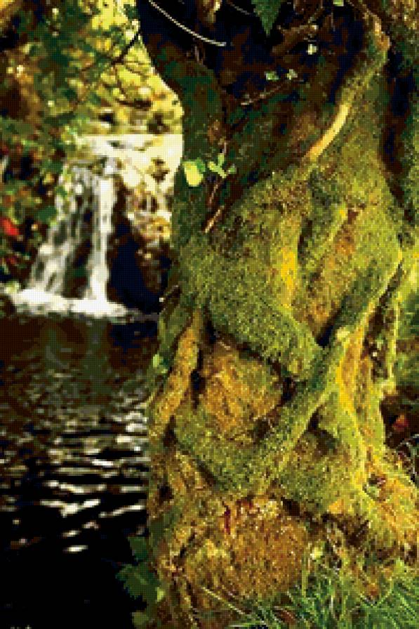 дерево - вода, природа, озеро - предпросмотр