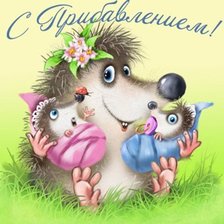 Схема вышивки «с прибавлением!»