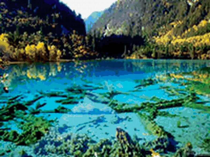 Природа 2 - водоросли, природа, , вода - предпросмотр