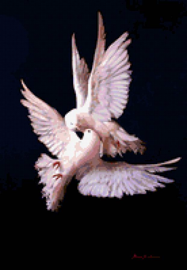 голуби - поцелуй, голуби - предпросмотр