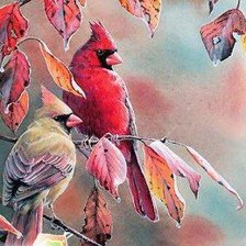 Схема вышивки «птицы»