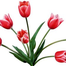 Схема вышивки «Букет тюльпанов»