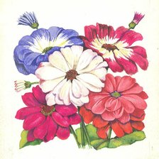 Схема вышивки «Цинерария»