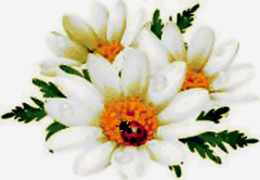 ромашки - романтика, цветы, букет, природа - предпросмотр