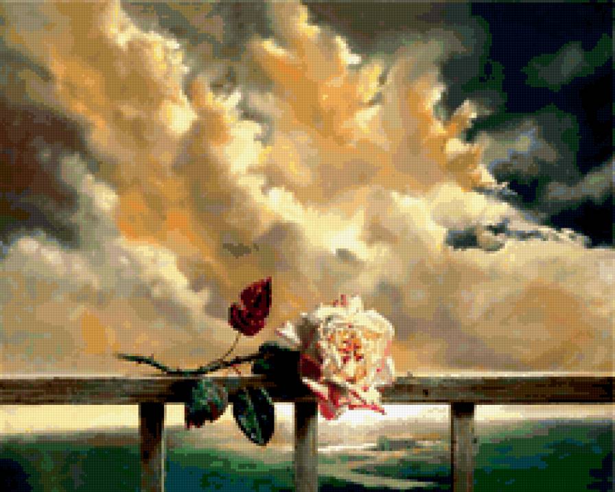 розы - природа, романтика, море, цветы - предпросмотр