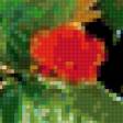 Предпросмотр схемы вышивки «натюрморт» (№185549)