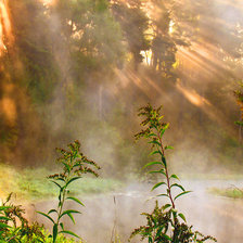 Схема вышивки «Туманное утро»