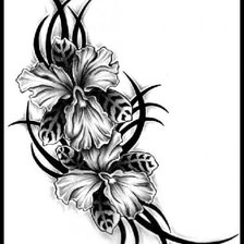 Схема вышивки «узор5»